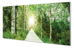 Nástenný panel  Breza lesná cesta 100x50 cm