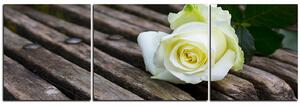 Obraz na plátne - Biela ruža na lavici - panoráma 5224C (150x50 cm)