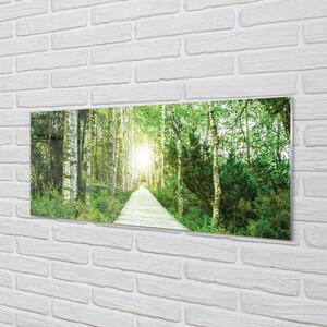 Sklenený obraz Breza lesná cesta 140x70 cm 2 Prívesky
