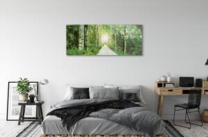 Sklenený obraz Breza lesná cesta 140x70 cm 2 Prívesky