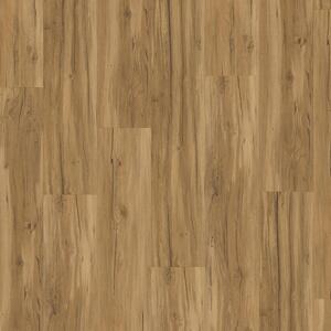 Vinyl Parador Classic 2025 Dub Memory natural Brushed Texture wide plank 4V, 1748871, 1219x229x2,5 mm