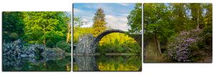 Obraz na plátne - Most v parku v Kromlau - panoráma 5246E (90x30 cm)
