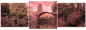 Obraz na plátne - Most v parku v Kromlau - panoráma 5246VD (150x50 cm)