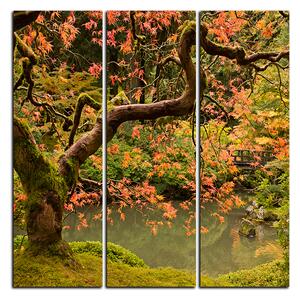 Obraz na plátne - Červený javor jeseň - štvorec 3241B (75x75 cm)