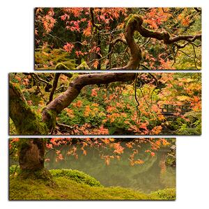 Obraz na plátne - Červený javor jeseň - štvorec 3241D (75x75 cm)