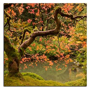 Obraz na plátne - Červený javor jeseň - štvorec 3241A (50x50 cm)