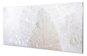 Sklenený obklad do kuchyne Kvapky púpava abstrakcie 100x50 cm