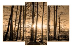Obraz na plátne - Jesenné ráno v lese 1251FC (90x60 cm)