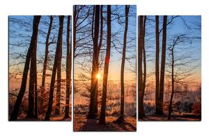 Obraz na plátne - Jesenné ráno v lese 1251C (120x80 cm)