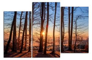 Obraz na plátne - Jesenné ráno v lese 1251D (150x100 cm)