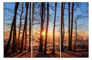 Obraz na plátne - Jesenné ráno v lese 1251B (120x80 cm)