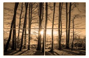 Obraz na plátne - Jesenné ráno v lese 1251FE (90x60 cm)