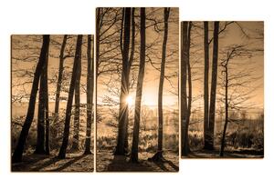 Obraz na plátne - Jesenné ráno v lese 1251FD (120x80 cm)