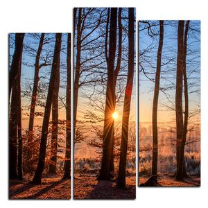 Obraz na plátne - Jesenné ráno v lese - štvorec 3251C (75x75 cm)