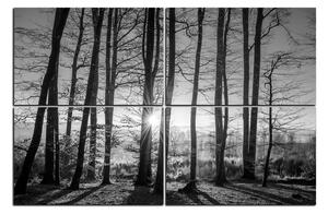 Obraz na plátne - Jesenné ráno v lese 1251QE (120x80 cm)