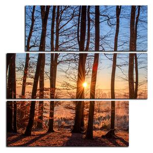 Obraz na plátne - Jesenné ráno v lese - štvorec 3251D (75x75 cm)