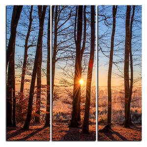 Obraz na plátne - Jesenné ráno v lese - štvorec 3251B (75x75 cm)