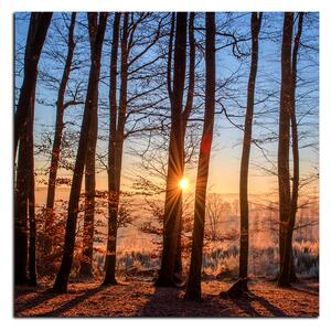 Obraz na plátne - Jesenné ráno v lese - štvorec 3251A (50x50 cm)