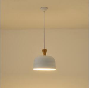 Luster na lanku 1xE27/15W/230V biela pr. 27 cm