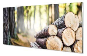 Obraz plexi Drevo prales prírode 125x50 cm 2 Prívesky