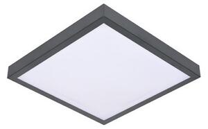 LED Stropné svietidlo so senzorom VITALI LED/24W/230V 4000K