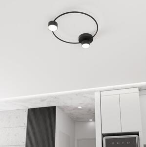 Stropné svietidlo LUCIO 2xGX53/12W/230V čierna