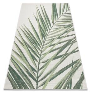 Koberec COLOR 19434/062 SISAL Listy zelený JUNGLE