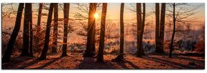 Obraz na plátne - Jesenné ráno v lese - panoráma 5251A (105x35 cm)