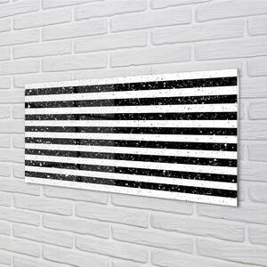Nástenný panel  Škvrny zebra pruhy 100x50 cm