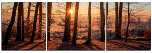 Obraz na plátne - Jesenné ráno v lese - panoráma 5251C (150x50 cm)