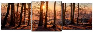 Obraz na plátne - Jesenné ráno v lese - panoráma 5251D (90x30 cm)