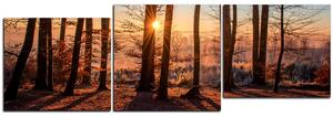 Obraz na plátne - Jesenné ráno v lese - panoráma 5251E (150x50 cm)
