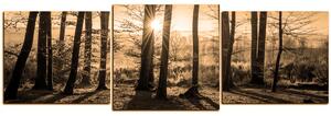 Obraz na plátne - Jesenné ráno v lese - panoráma 5251FD (150x50 cm)