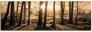 Obraz na plátne - Jesenné ráno v lese - panoráma 5251FA (105x35 cm)