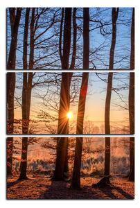 Obraz na plátne - Jesenné ráno v lese - obdĺžnik 7251B (90x60 cm )
