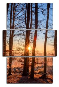 Obraz na plátne - Jesenné ráno v lese - obdĺžnik 7251C (90x60 cm)