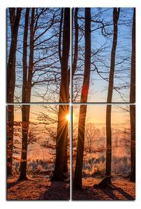 Obraz na plátne - Jesenné ráno v lese - obdĺžnik 7251E (90x60 cm)