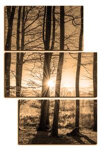 Obraz na plátne - Jesenné ráno v lese - obdĺžnik 7251FD (90x60 cm)