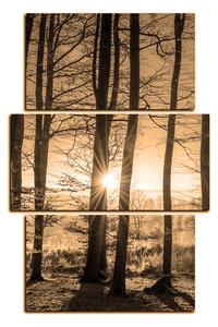 Obraz na plátne - Jesenné ráno v lese - obdĺžnik 7251FC (90x60 cm)