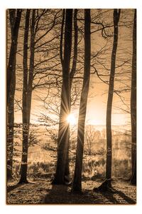 Obraz na plátne - Jesenné ráno v lese - obdĺžnik 7251FA (100x70 cm)