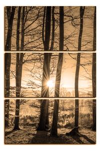 Obraz na plátne - Jesenné ráno v lese - obdĺžnik 7251FB (90x60 cm )