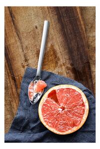 Sada 2 lyžičiek na grapefruit WMF Nuova, dĺžka 16 cm