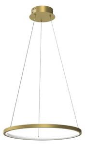 LED Luster na lanku HOOP LED/27W/230V pr. 50 cm 4000K zlatá