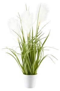 DEKORAČNÁ TRÁVA, 53 cm Ambia Home - Kvety & kvetináče