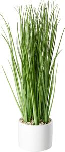 DEKORAČNÁ TRÁVA, 30 cm Ambia Home - Kvety & kvetináče
