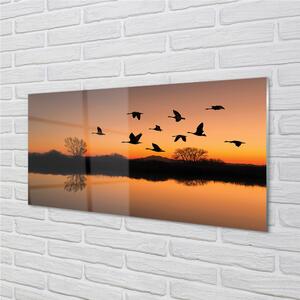 Nástenný panel  Lietajúce vtáky sunset 100x50 cm