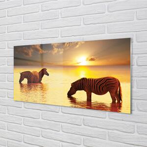 Nástenný panel  Zebry voda západ slnka 100x50 cm