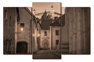 Obraz na plátne - Bratislava staré mesto s hradom vzadu 1265FC (120x80 cm)
