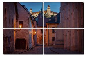 Obraz na plátne - Bratislava staré mesto s hradom vzadu 1265E (90x60 cm)