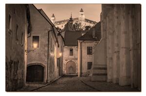 Obraz na plátne - Bratislava staré mesto s hradom vzadu 1265FA (120x80 cm)